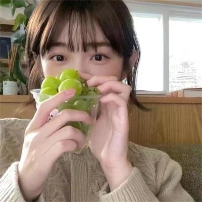疯狂磕学家